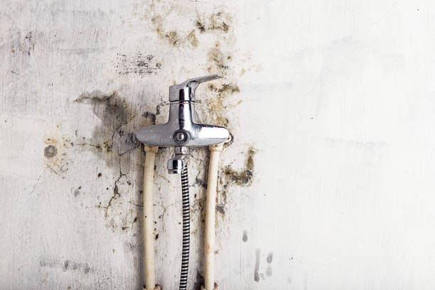 Best Water Damage Restoration  in Chadds Ford, PA