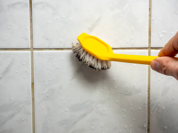 Best Professional Mold Removal  in Chadds Ford, PA