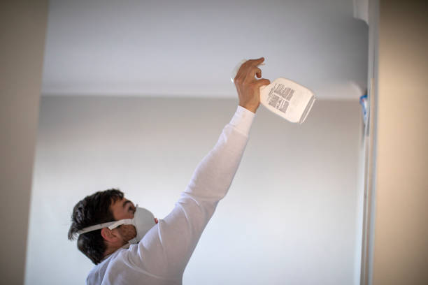 Best Commercial Mold Removal  in Chadds Ford, PA