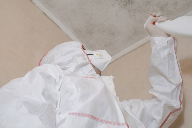 Professional Mold Removal in Chadds Ford, PA