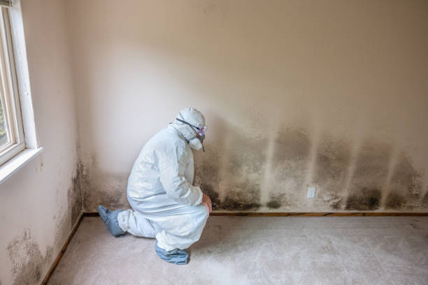 Water Damage Restoration in Chadds Ford, PA
